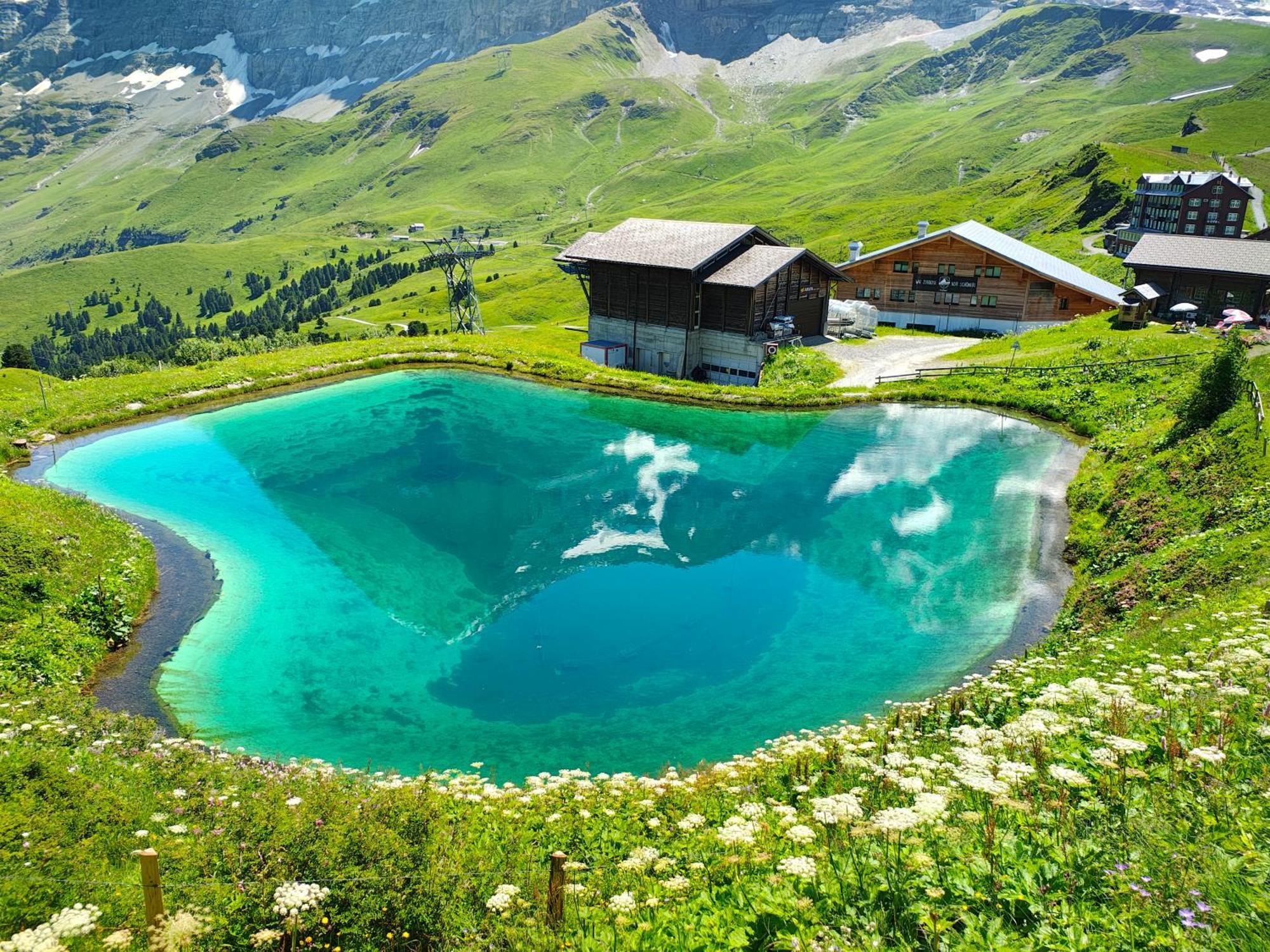 Chalet Schwendiboden Гриндельвальд Экстерьер фото